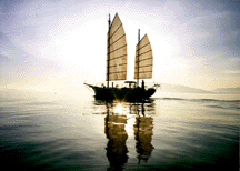 Webjunk Pte Ltd